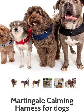 Martingale Calming Harness for Dogs - Black